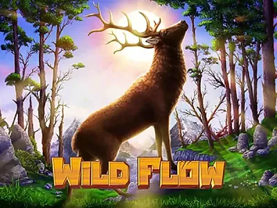 와일드 플로우