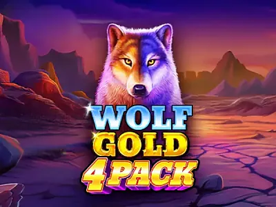 울프 골드 4팩