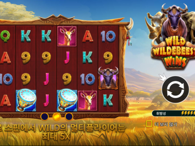 Wild Wildebeest Wins